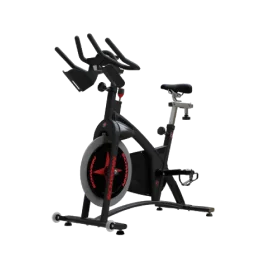 Schwinn AC Sport