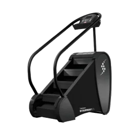 StairMaster Stairway GTL (Jacobs Ladder)